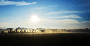 Castiglion Fibocchi (AR)