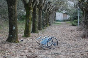Viale interno dell'ex manicomio