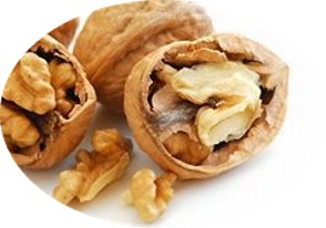 Gherigli di noce un ingrediente per il castaganccio