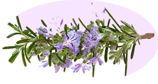 Rosmarino, uno degli ingredienti del castagnaccio