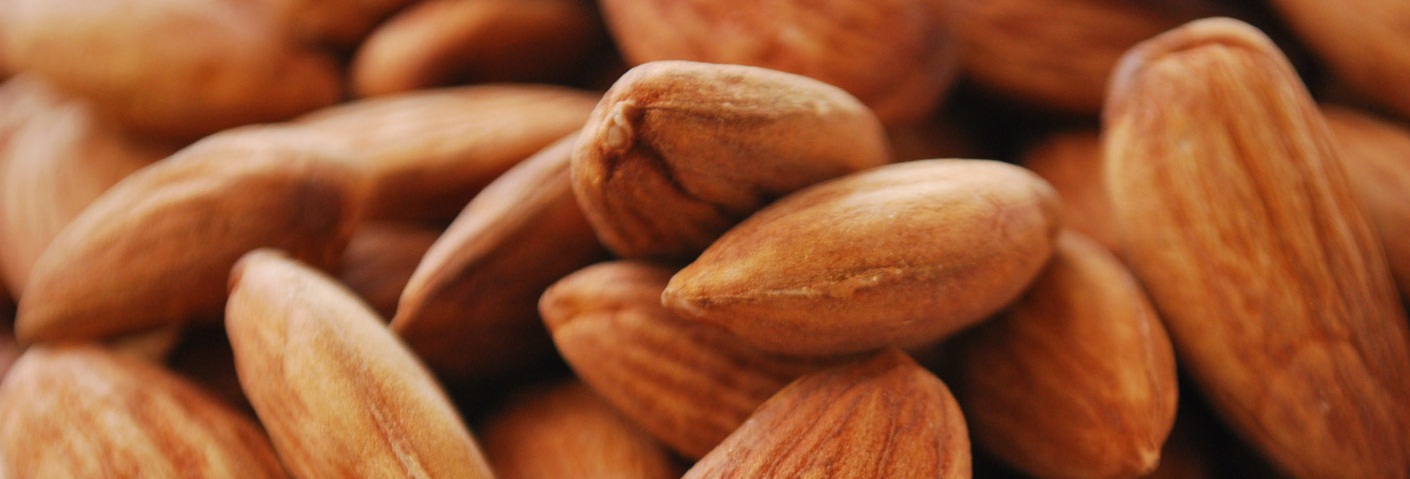 Le mandorle ingrediente dei biscotti di Prato