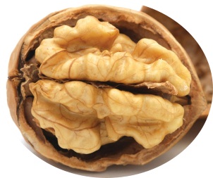 Le noci, uno degli ingredienti dei Cavallucci