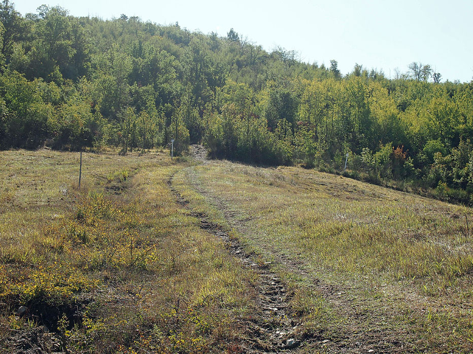 Il sentiero percorre un pratone