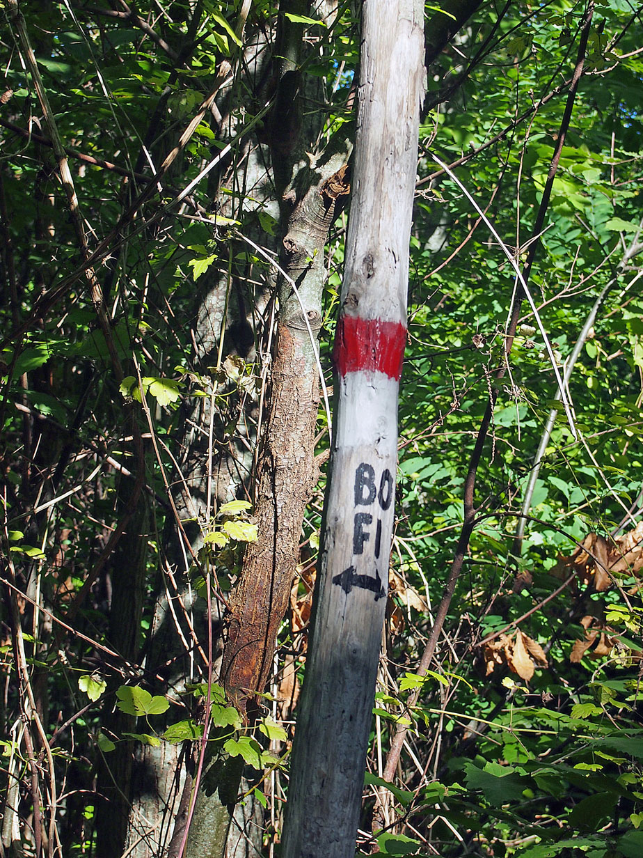 Arrivo in Via di Tassaia