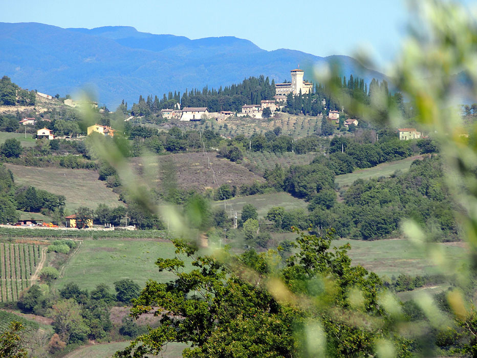 Il paesaggio in lontananza il castello del Trebbio