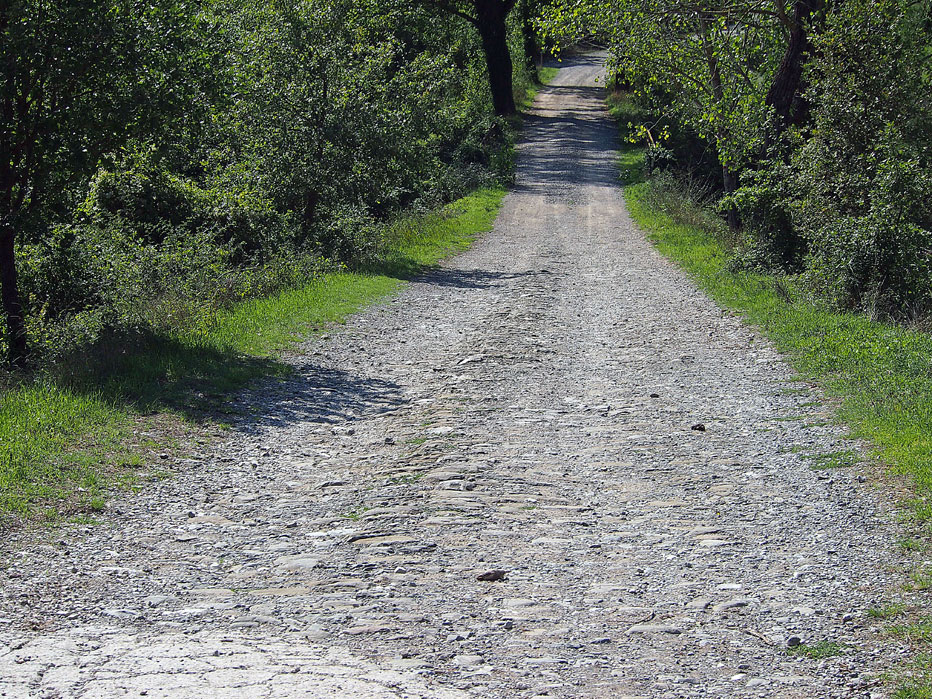 Inizio del sentiero in località Tagliaferro a 250 metri di altitudine