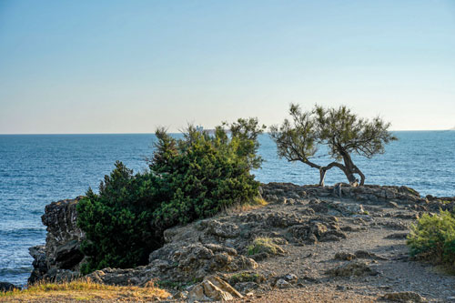 Lo scoglio della tamerice lungo la passeggiata a mare di Antignano